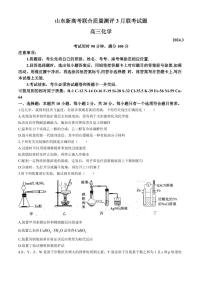 山东省新高考联合质量测评2023-2024学年高三下学期3月联考化学试题（附参考答案）