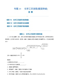 专题10   化学工艺流程(题型突破)(练习)-高考化学二轮复习讲练测（新教材新高考）