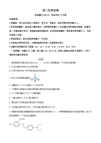 湖北省鄂东新领先协作体2023-2024学年高二下学期3月联考化学试题（原卷版+解析版）