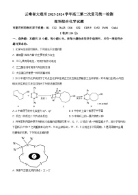 云南省大理白族自治州2024届高三第二次复习统一检测理综-化学试卷（原卷版+解析版）