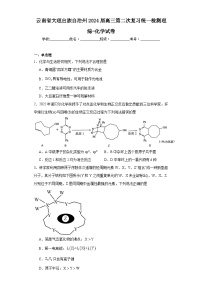 云南省大理白族自治州2024届高三第二次复习统一检测理综-化学试卷（含解析）