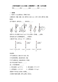 上海市杨浦区2024届高三质量调研（二模）化学试题（含解析）