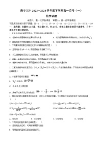广西南宁三中2023-2024学年高一下学期月考（一）化学试卷(无答案)