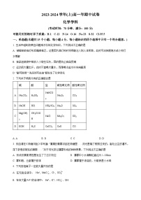 福建省厦门市某校2023-2024学年高一上学期期中考试化学试卷（Word版附解析）