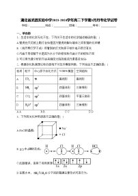 湖北省武昌实验中学2023-2024学年高二下学期3月月考化学试卷(含答案)