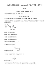 辽宁省沈阳市郊联体重点高中2023-2024学年高二下学期4月月考化学试题（含答案）