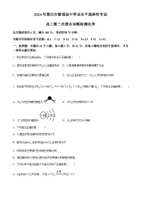 2024届重庆市普通高中学业水平测试选择性考试第二次联合诊断检测（二模）化学试题（含答案）