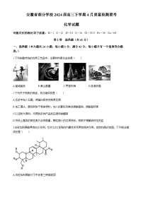 安徽省部分学校2024届高三下学期4月质量检测联考化学试卷（含答案）