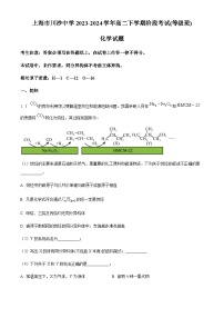 上海市川沙中学2023-2024学年高二下学期4月阶段考试（等级班）化学试卷（原卷版+解析版）