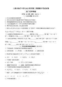 上海市扬子中学2023-2024学年高一下学期期中考试化学试题(无答案)