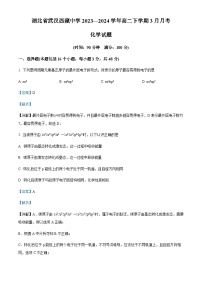 湖北省武汉市西藏中学2023-2024学年高二下学期4月月考化学试题（解析版）