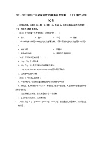 2021-2022学年广东省深圳市龙城高级中学高一（下）期中化学试卷