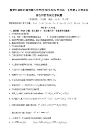 黑龙江省哈尔滨市第九中学校2023-2024学年高一下学期4月学业阶段性评价考试化学试题(无答案)