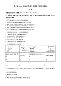 2024届贵州省高三下学期二模化学试题（原卷版+解析版）