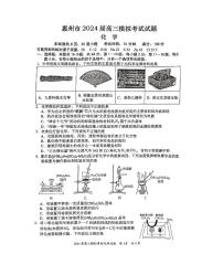 2024届广东省惠州市高三下学期一模化学试题