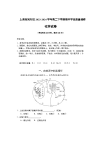 上海市闵行区2023-2024学年高二下学期期中学业质量调研化学试卷（含答案）