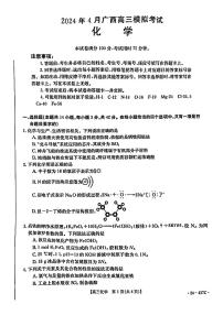 广西壮族自治区多市（梧州、玉林、贺州等）2024届高三下学期4月模拟考试化学试卷（PDF版附答案）