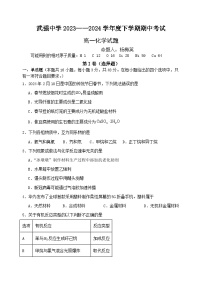 河北省衡水市武强中学2023-2024学年高一下学期期中考试化学试卷（Word版附解析）