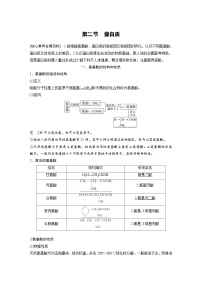 人教版 (2019)第四章 生物大分子第二节 蛋白质优秀学案设计