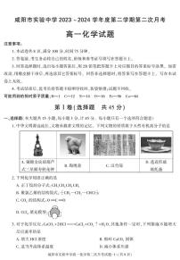 陕西省咸阳市实验中学2023-2024学年高一下学期第二次月考化学试卷（PDF版含答案）