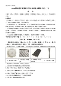 广东省大湾区普通高中2024届高三下学期毕业年级联合模拟考试（二）化学试卷(无答案)