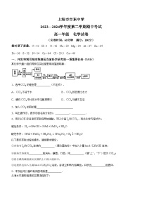 上海市市东实验学校（上海市市东中学）2023-2024学年高一下学期期中考试+化学试题(无答案)