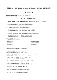 安徽省芜湖市安徽师范大学附属中学2023-2024学年高一下学期4月期中考查化学试题（含答案）