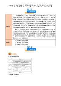 2024年高考化学压轴题训练-化学实验综合题（浙江专用）（解析版）