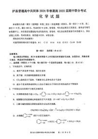 四川省泸州市泸县2023-2024学年高二下学期4月期中考试化学试题