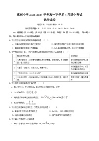 广东省惠州市惠州中学2023-2024学年高一下学期4月期中考试化学试题（含答案）