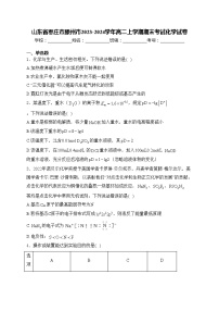 山东省枣庄市滕州市2023-2024学年高二上学期期末考试化学试卷(含答案)