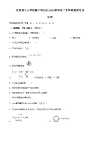 北京理工大学附属中学2023-2024学年高二下学期期中考试化学试题（含答案）