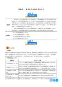 微型化学实验设计与评价--2024年高考化学压轴题专项训练