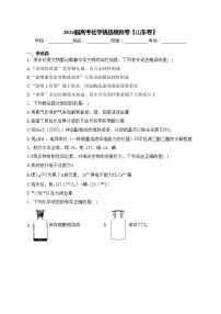 2024届高考化学挑战模拟卷【山东卷】(含答案)