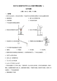 重庆市乌江新高考协作体2024届高三下学期模拟监测（一）化学试题