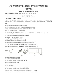 广西钦州市第四中学2023-2024学年高二下学期期中考试化学试卷（原卷版+解析版）