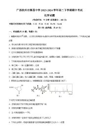 广西钦州市第四中学2023-2024学年高二下学期期中考试化学试卷（原卷版+解析版）