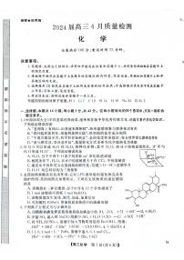 2024年金科大联考高三下学期4月化学试题及答案