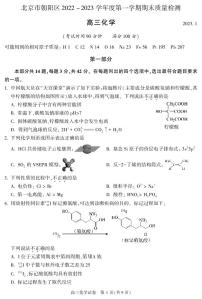 2023北京市朝阳区高三上学期期末化学试卷及答案