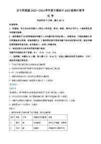 四川省凉山州安宁河联盟2023-2024学年高一下学期期中联考化学试题（Word版附解析）