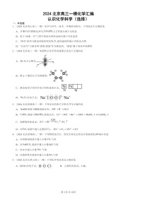 2024北京高三一模化学试题分类汇编：认识化学试题分类科学（选择）