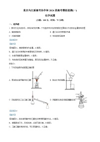 重庆市乌江新高考协作体2024届高三下学期一模化学试题（Word版附解析）