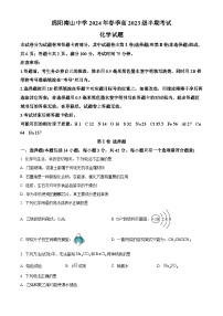 四川省绵阳市南山中学2023-2024学年高一下学期期中考试  化学  （原卷版+解析版）