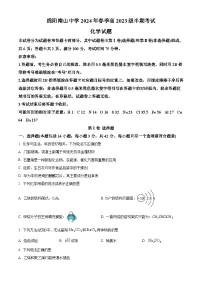 四川省绵阳市南山中学2023-2024学年高一下学期期中考试 化学 （原卷版+解析版）
