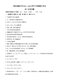 湖北省武汉西藏中学2023-2024学年高一下学期5月期中考试化学试题（原卷版+解析版）