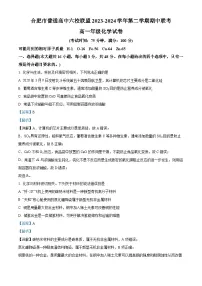 安徽省合肥市六校联盟2023-2024学年高一下学期4月期中考试化学试题