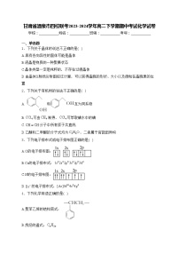 甘肃省酒泉市四校联考2023-2024学年高二下学期期中考试化学试卷(含答案)