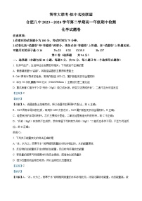 安徽省合肥市第八中学2023-2024学年高一下学期期中化学试卷（Word版附解析）
