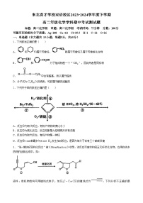 辽宁省沈阳市东北育才学校双语校区2023-2024学年高二下学期期中考试化学试题(无答案)