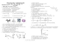 2024成都树德中学高二下学期期中考试化学PDF版含答案（可编辑）